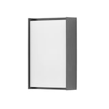 thumbnail of FORLIGHT Block - Aplique de Pared Exterior LED Luz Neutra 4000K Moderno para Terraza y Jardín de Aluminio Gris Antracita
