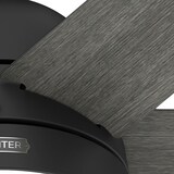 thumbnail of DC Deckenventilator Arete Schwarz mit Licht & Fernbedienung 132