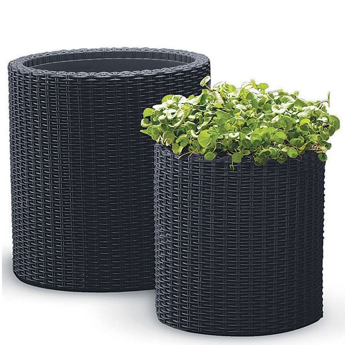 Keter Blumenkübel 2er-Set Rattanoptik Pflanzkübel Blumentopf Pflanztopf Deko