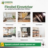 thumbnail of Spinnen Falle mit Spezial-Lockstoff: 15