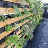 thumbnail of HORTALIA Jardín vertical L en madera tratada para exterior