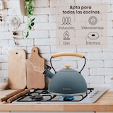 thumbnail of Briebe Nordic Wasserkessel Induktion Flötenkessel 2,5L Edelstahl, Holzgriff, Grau