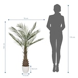 thumbnail of Planta artificial / árbol artificial DRACAENA palmera 120 cm verde hjh OFFICE
