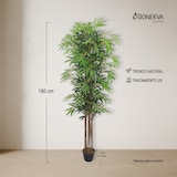 thumbnail of Bonerva | Bambú Nature UV 180 cm Altura | Planta artificial con Tronco natural y protección UV para exterior | Ideal para Negocios y hogares