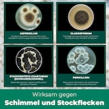 thumbnail of Schimmelentferner mit E-Book - Gegen Schimmel & Stockflecken: 2 x 500 ml