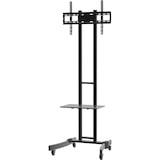 thumbnail of VCM  B-MS  H. 190 x B. 76 x T. 66 cm