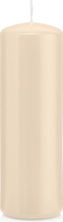 Wiedemann Kerzen Stumpenkerzen Creme Beige Ø 48 x 150 mm, 24 Stück, 37 Brenndauer