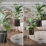 thumbnail of 2er Set Blumenständer 21,8x22x47 / 25x25x71 cm Schwarz/Gold aus Stahl