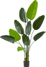 thumbnail of tectake Árbol de ave del paraíso artificial TROPIC, aspecto realista  Verde