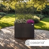 thumbnail of CASARIA® Blumenkasten Pflanztopf mit Rankgitter braun