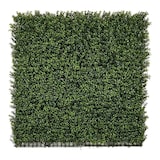 thumbnail of Rollo Jardin Vertical Boj 100 X 100