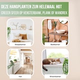 thumbnail of GreenDream® 3 Verschillende Hangplanten Kunstplanten in Pot - decoratief - Cadeautip - Groen
