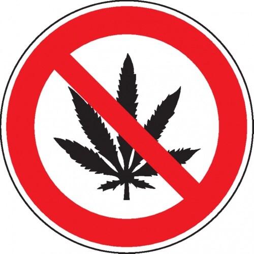 Dreifke® Verbotsschild Cannabis verboten, praxisbewährt, Kunststoff, Ø 200mm
