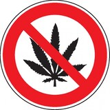 thumbnail of Dreifke® Verbotsschild Cannabis verboten, praxisbewährt, Kunststoff, Ø 200mm