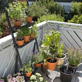 thumbnail of GARDENA Urlaubsbewässerung  Urlaubsbewässerungsset