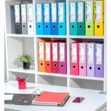 thumbnail of Exacompta 53359E 10x Premium-Ordner PREM'TOUCH aus PP mit 2 Ringen, Rücken 80mm, 32x30cm für DIN A4 MAXI - Himbeerfarben