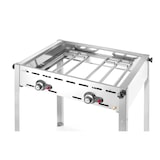 thumbnail of HENDI Grillsystem Green Fire mit 2 Brennern Profi Line, 2 Edelstahl Grillroste Gastronorm 1/1, 11,6kW, 740x612x(H)825mm
