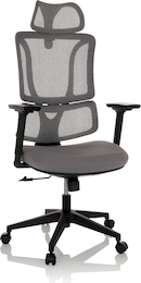 Ergonomische bureaustoel Winter, met onderrugsteun, met h