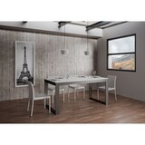 thumbnail of Ausziehbarer Tisch 90x160/420 cm Tecno Evolution Gestell Weiß Esche Anthrazit