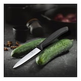 thumbnail of Couteau inox d'office pointu (L)100 mm, manche noir