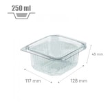 thumbnail of Barquette fraîcheur 250 cc en plastique PET avec couvercle à charnière par 100