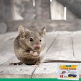 thumbnail of Mäuseköder-Depot mit Schlagfalle für Haus und Garten: 4 Stück