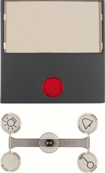 Berker Wippe anth matt 16961606