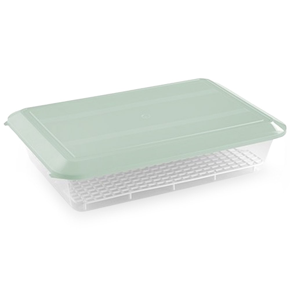 Bandeja para descongelar alimentos 4,2L Tapa Verde - Rejilla anti-goteo Sin BPA's (36 x 24 x 8,5cm) - Restaurantes, cocinas, hostelería, catering