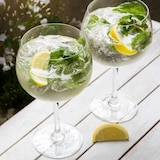 thumbnail of LONGDRINX - HUGO SPRITZ PRESSION - Cocktail prêt-à-servir - 12,5% alc. - 20 Litres