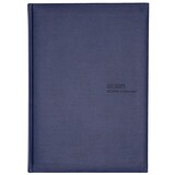 thumbnail of MANAGER-Timer, Tucson blau