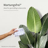 thumbnail of IvoQ Strelitzia Kunstpflanze 120 cm - Paradiesvogelblume im Topf - Lebensechte künstliche Zimmerpflanze für den Innenbereich