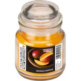 thumbnail of PAPSTAR, Snoeppot met waxvulling "Flavour by GALA" Ø 63 mm · 85 mm perzik - Mango-Papaya