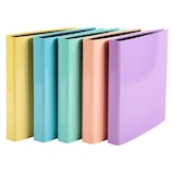 thumbnail of Exacompta - réf. 51560E - Carton de 10 classeurs rigides 4 annx 25mm - Dos 40mm - Dimensions 31,5x30 cm - Pour Format A4 - assortis