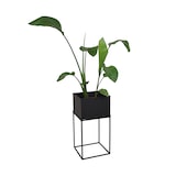 thumbnail of LOFT42 Flora Plantenbak vierkant - Metaal - Zwart