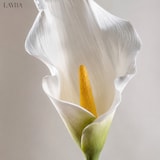 thumbnail of LAYBA Künstliche Calla 63 cm weiß Kunstblume für Vase
