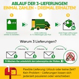 thumbnail of Schlupfwespen gegen Lebensmittelmotten: 1x Lieferung zur Ergänzung / 1