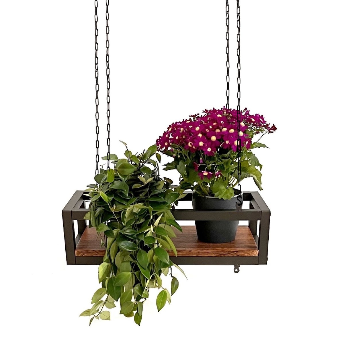 Prateleira FLOWERS suspensa no teto CASTANHO comprimento 55 cm com correntes para flores suporte de vidro vertical para jardim bar cozinha por Yelloo