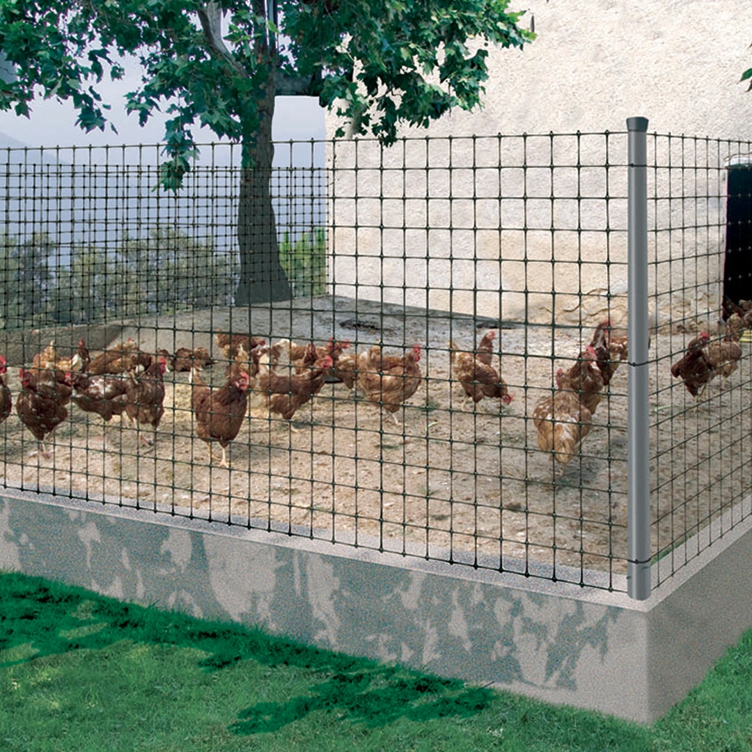 Malha de aves Avinet preto 2x200m