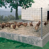 thumbnail of Malha de aves Avinet preto 2x200m