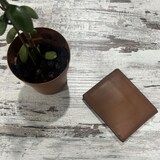 thumbnail of Restootab - Plateau 60x60 decor chene islande