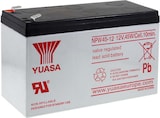 thumbnail of YUASA Bleiakku NPW45-12