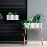 thumbnail of Prosperplast - BOARDEE FENCYCASE Balkonkasten - 58x18x16,2cm in Anthrazit farbe