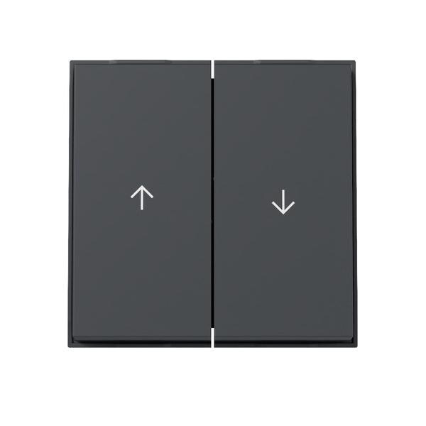 Gira Wippe 2f Pfeil 329467