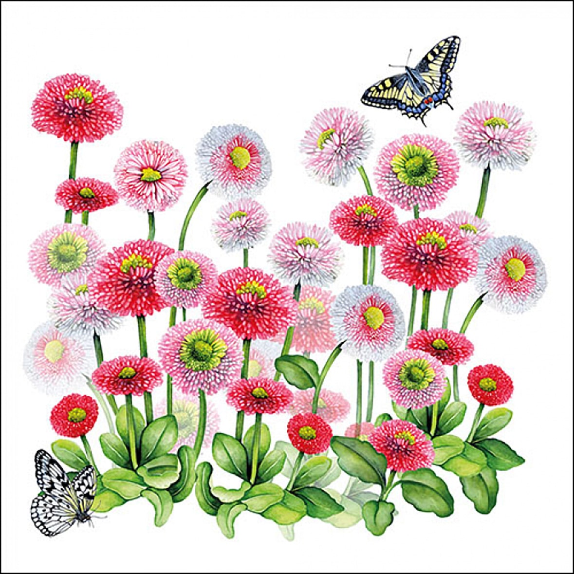 20 Servietten Papier 33x33cm 3-lagig - hochwertige Einweg Papierservietten Gänseblümchen Motiv Partyservietten Gartenfest Picknick Frühling Sommer