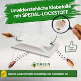 thumbnail of Kakerlaken / Schaben Falle mit Spezial-Lockstoff: 15