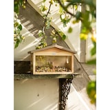 thumbnail of Futterstation Eichhhörnchen Knabber und KnusperKiefer FSC 100 %, 39x21x25 cm