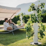 thumbnail of Gusta Garden Sissi Strawberry Classic Draußen Vertikale Pflanzmaschine Freistehend Polypropylen (PP) Weiß