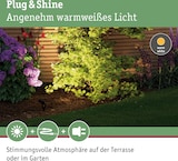 thumbnail of Paulmann Plug & Shine Projecteur de jardin LED Sting Spot individuel  IP67 3000K 6,4W   Anthracite 93934