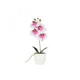 thumbnail of LIGNE DÉCO Orchidée artificielle blanc-fuchsia 35cm