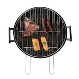 thumbnail of Barbecue Charbon Livoo Doc172r